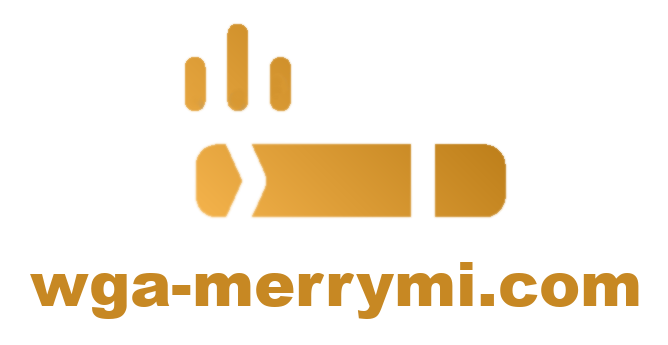 wga-merrymi.com